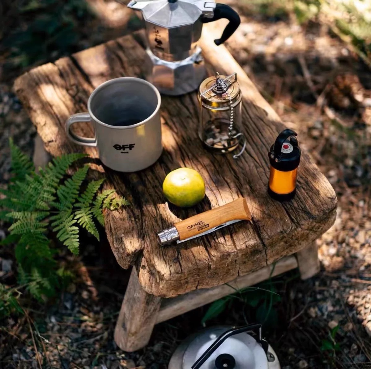 Camping Enamel Mug