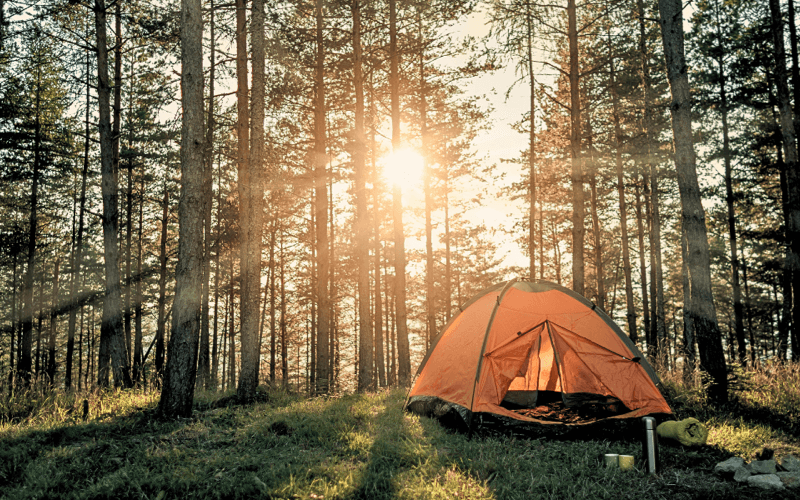 camping essentials checklist